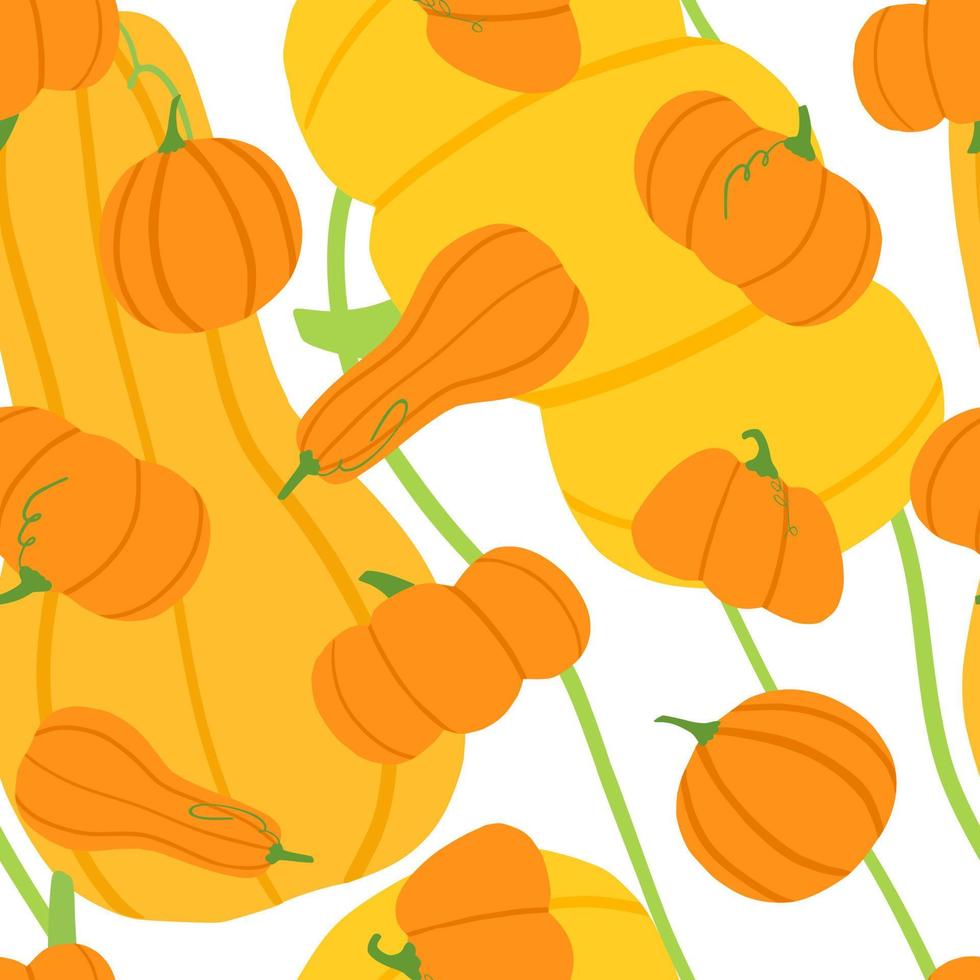 Hand drawn pumpkin seamless pattern. Cute autumn texture for thanksgiving, harvest and halloween. Floral background. vector