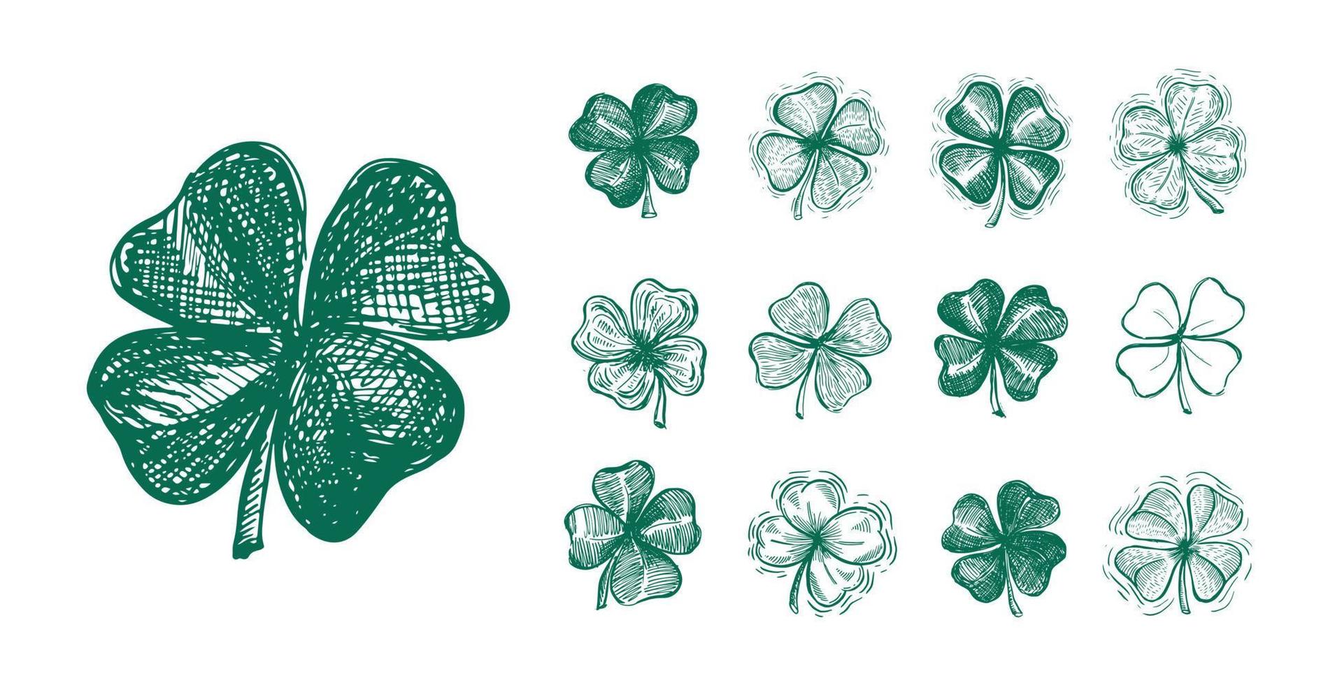 Clover set, St. Patrick's Day. Hand drawn illustrations. Vector. vector