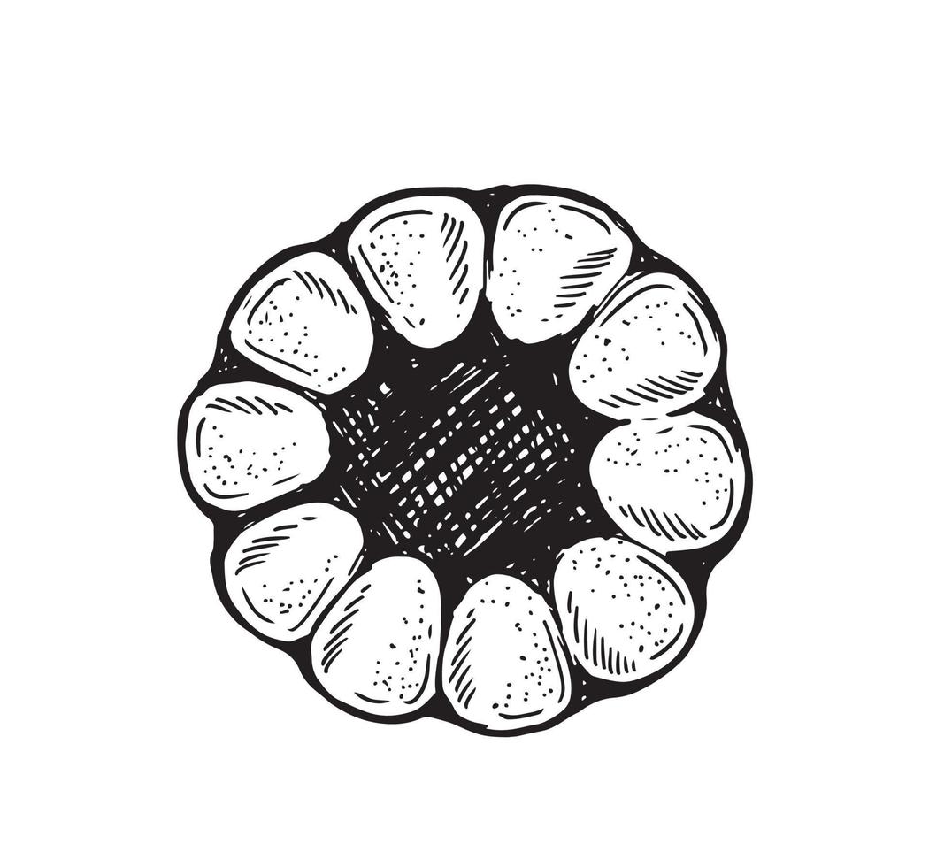 Cookie set hand drawn illustration. Vector. vector