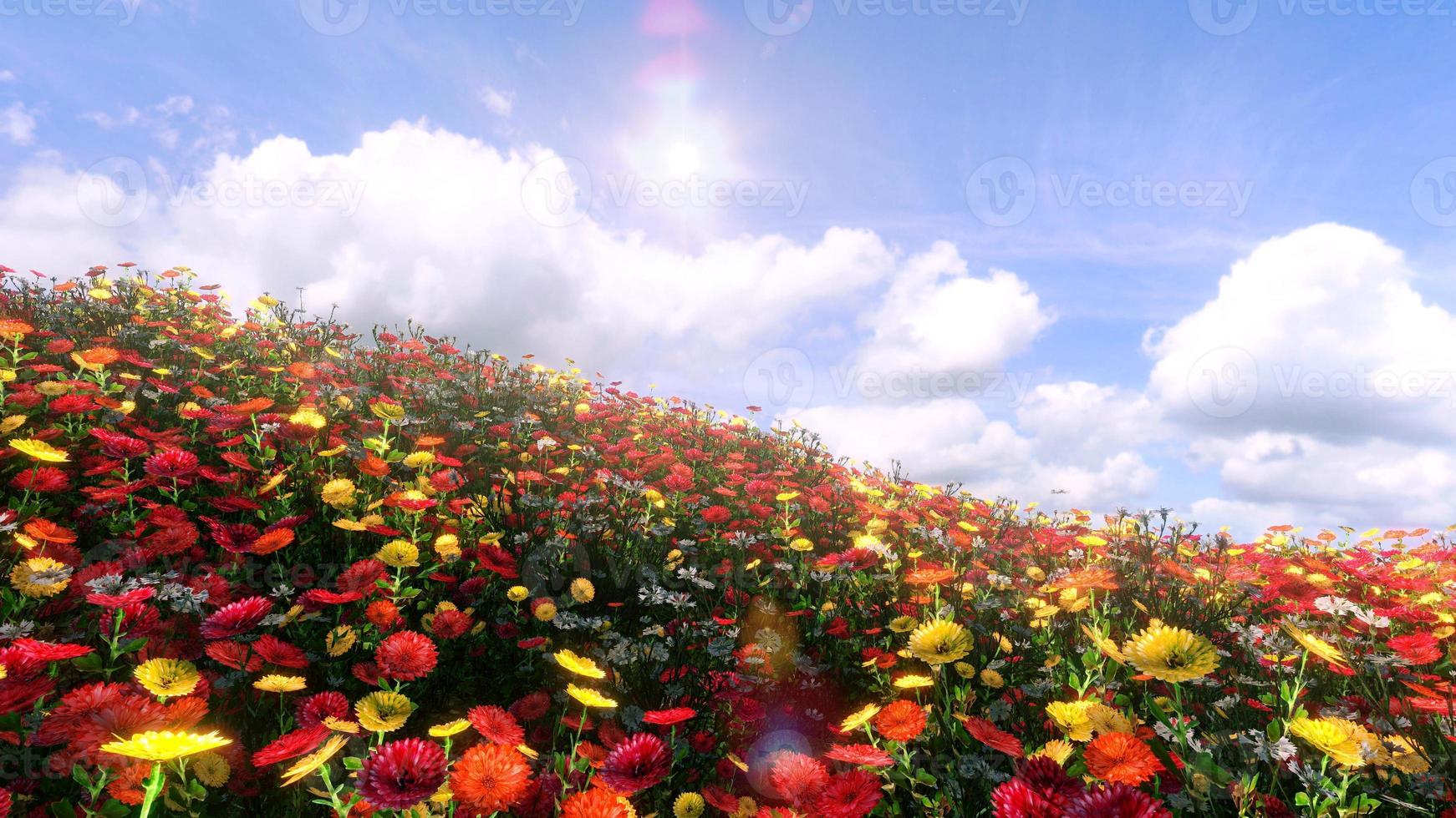 Fields of flowers and large trees that receive the sunlight during the day. bright sky and clouds 3d rendering photo