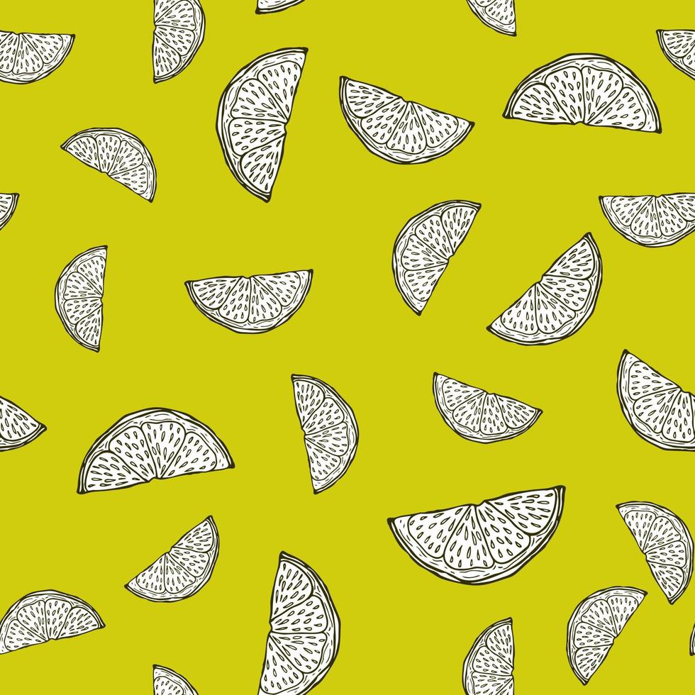 Seamless pattern engraved slice lemon. Vintage background piece lemon or lime in hand drawn style. vector