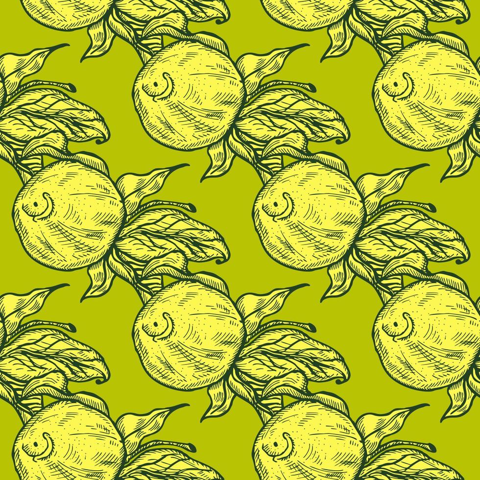 limón grabado de patrones sin fisuras en ramita con hojas. fondo vintage cítricos en rama en estilo dibujado a mano. vector