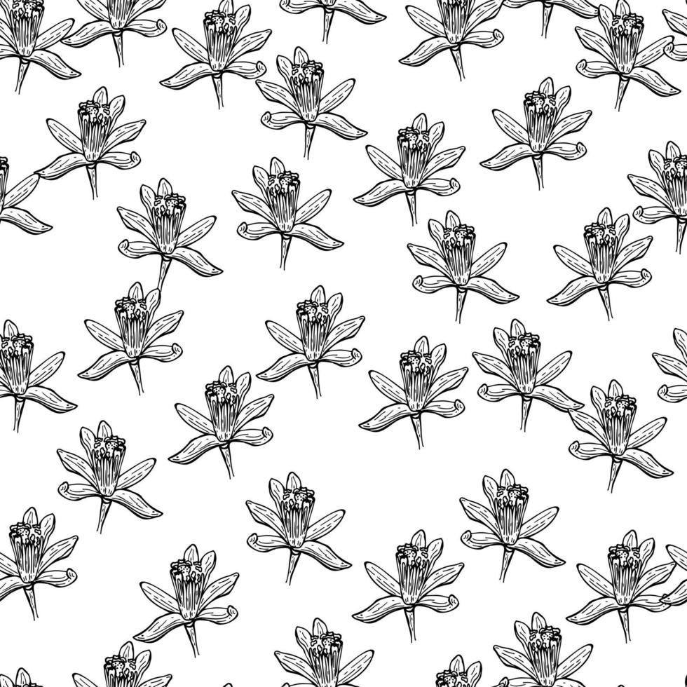 Seamless pattern flowers engraved. Vintage background of garden floral in hand drawn style. vector