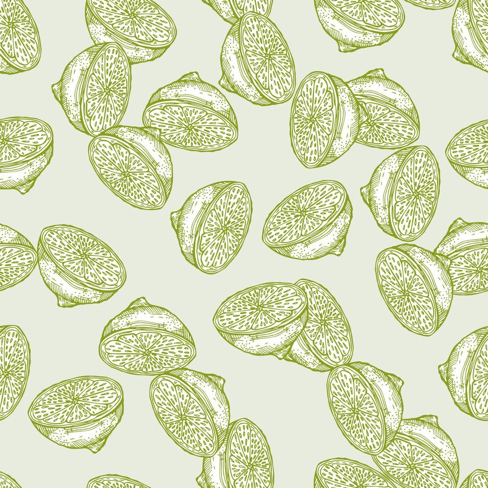 Seamless pattern lemon half engraving. Vintage background of citrus fruits in hand drawn style. vector