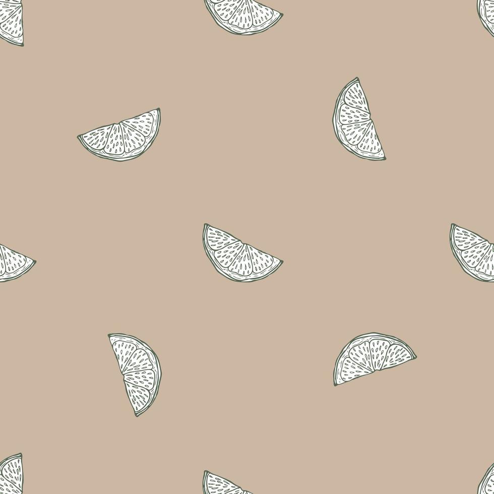 Seamless pattern engraved slice lemon. Vintage background piece lemon or lime in hand drawn style. vector