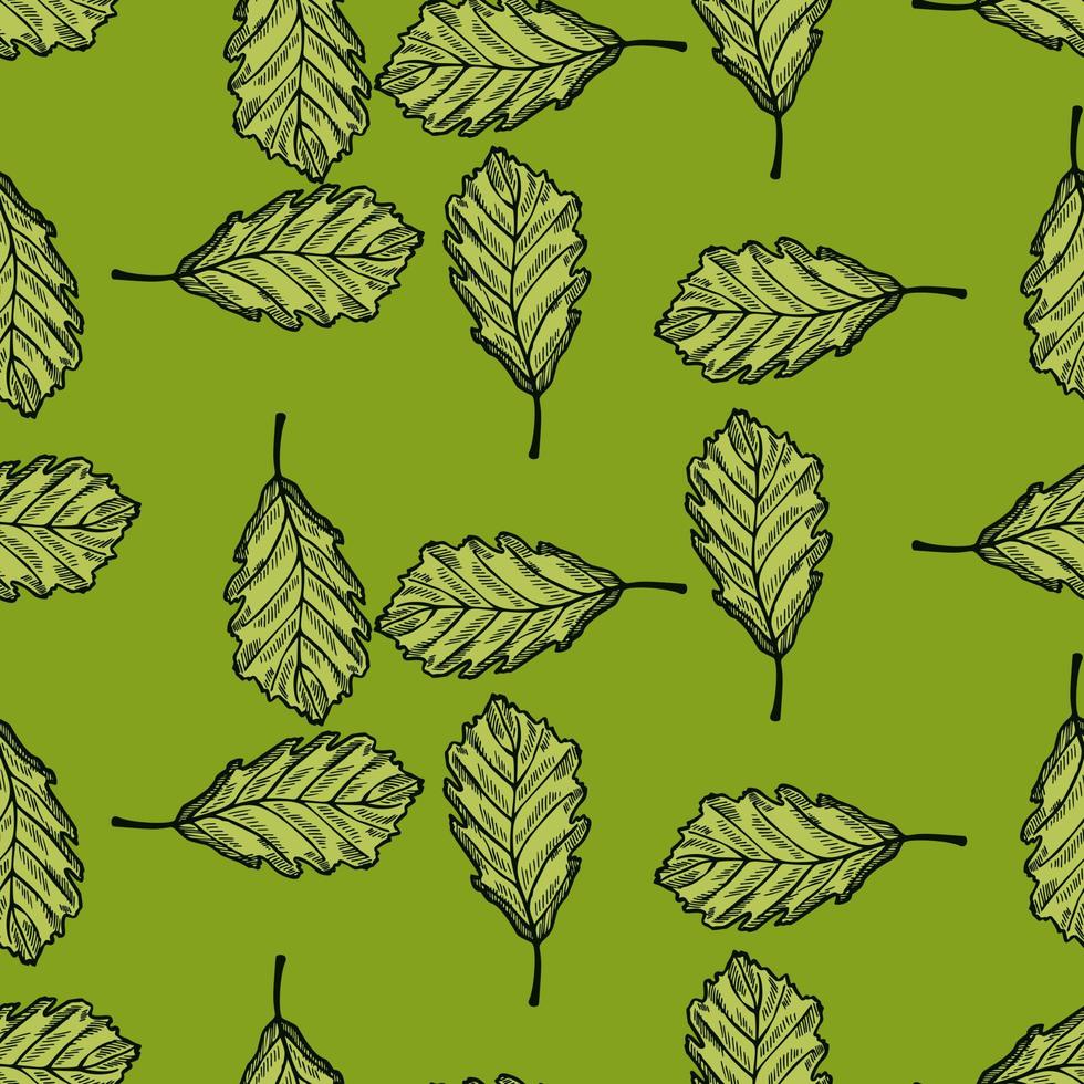 Leaves oak engraved seamless pattern. Vintage background botanical with forest foliage in hand drawn style. vector