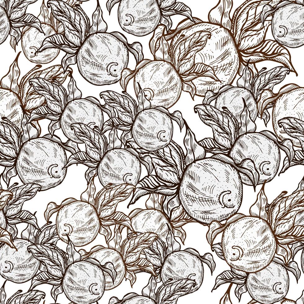 Seamless pattern engraved lemon on twig with leaves. Vintage background citrus fruit on branch in hand drawn style. vector