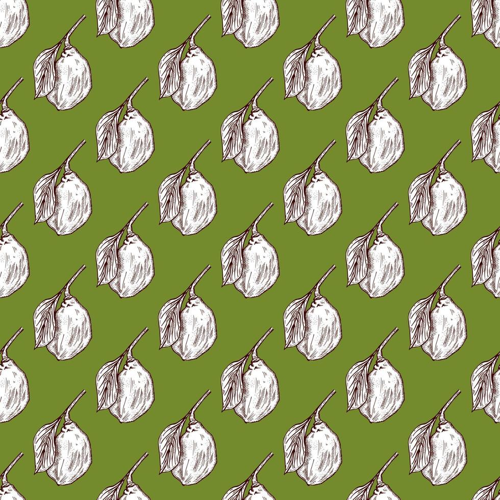 Seamless pattern engraved lemon on branch with leaves. Vintage background lime growing on twig in hand drawn style. vector