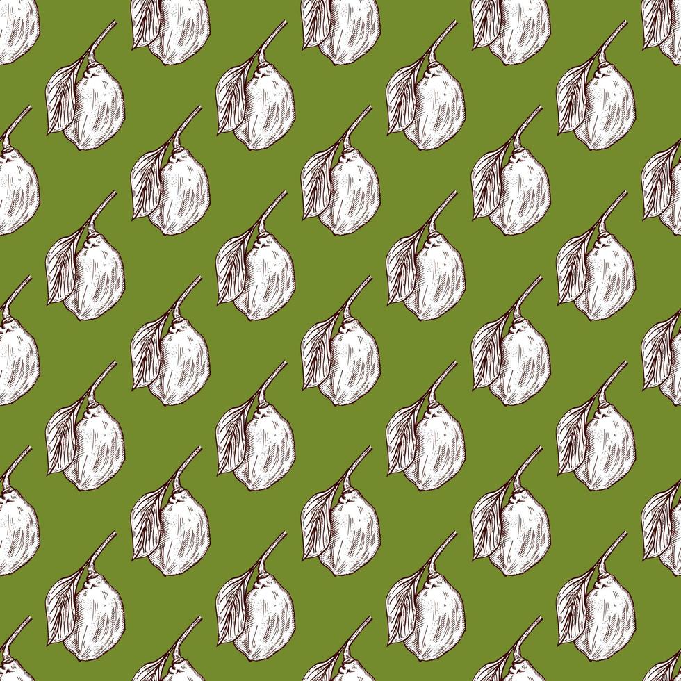 Seamless pattern engraved lemon on branch with leaves. Vintage background lime growing on twig in hand drawn style. vector