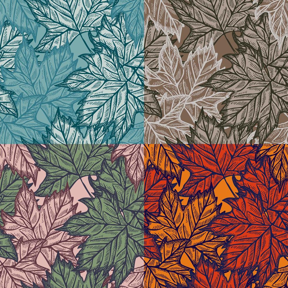 Set season leaves maple engraved seamless pattern. Botanical background with canadian foliage in hand drawn style. vector