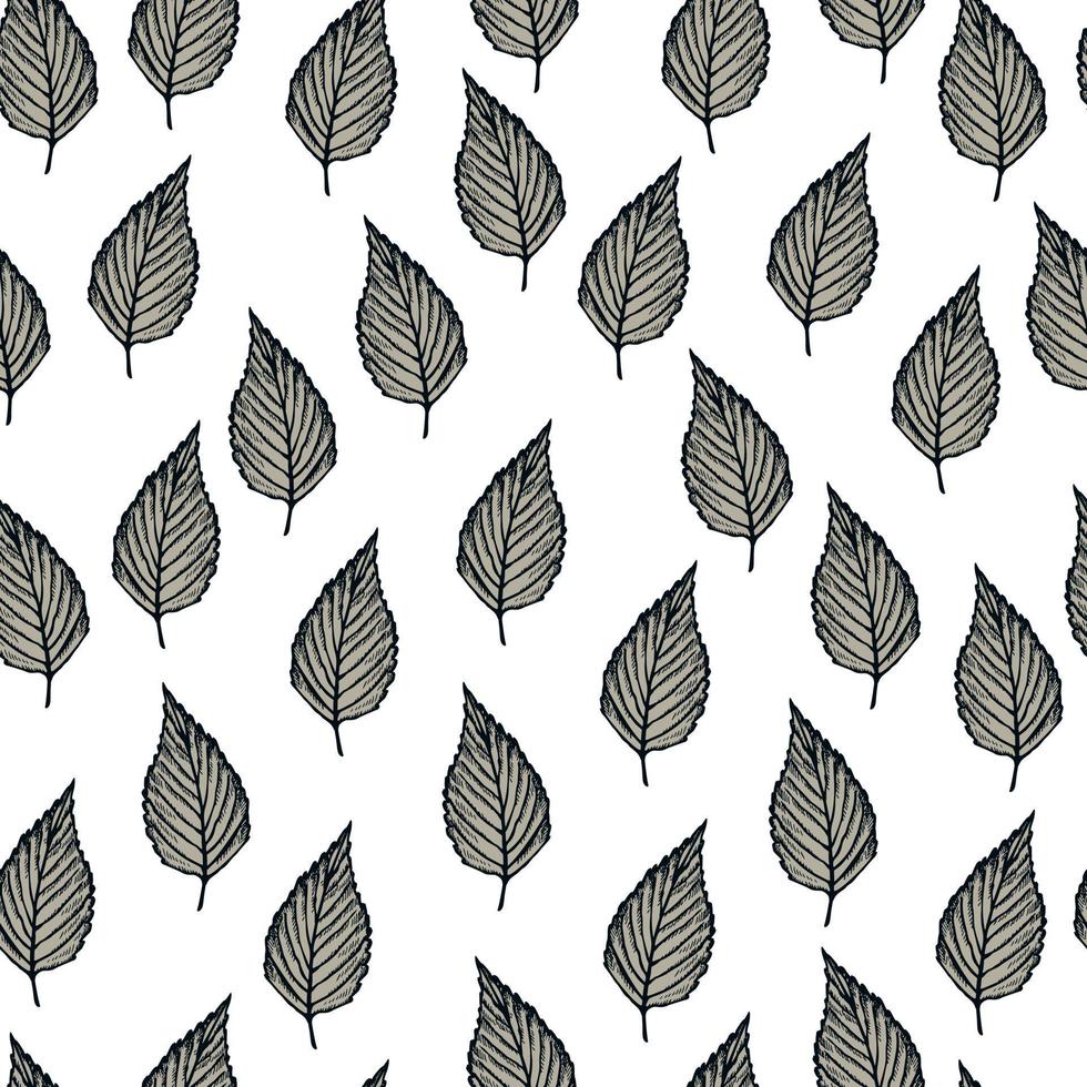 Seamless pattern engraved tree leaves. Vintage background botanical with foliage in hand drawn style. vector