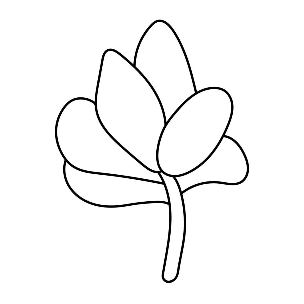 dibujado a mano lindo suculento en estilo garabato. boceto gráfico casa flor crassula. ilustración vectorial, elementos aislados sobre un fondo blanco vector