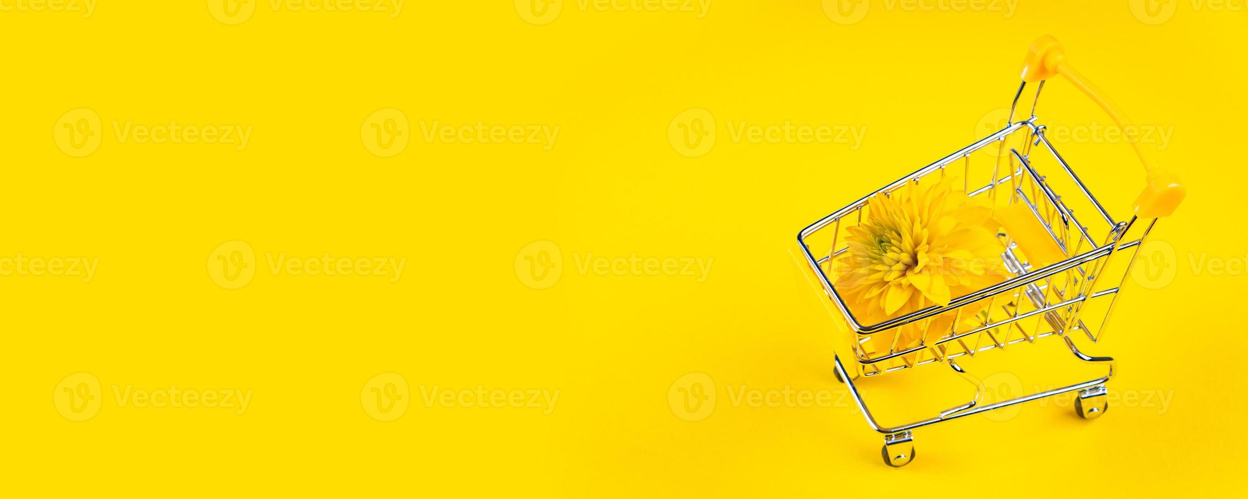 Summer background concept. Bright flower on yellow background. Shopping cart with flowers. photo