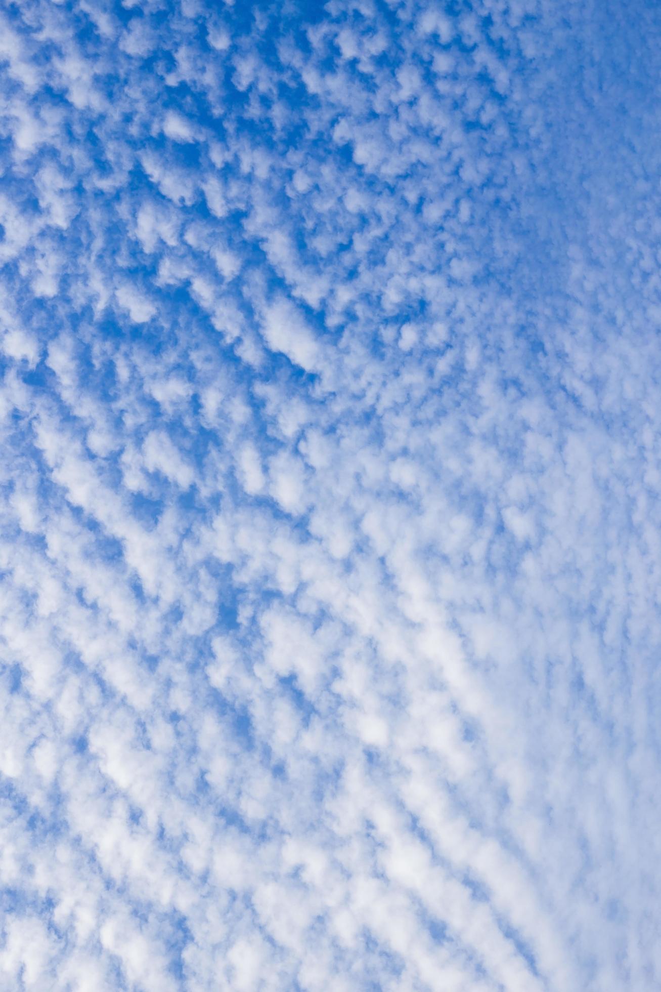 White clouds like a sea wave shape in the light blue sky as background ...