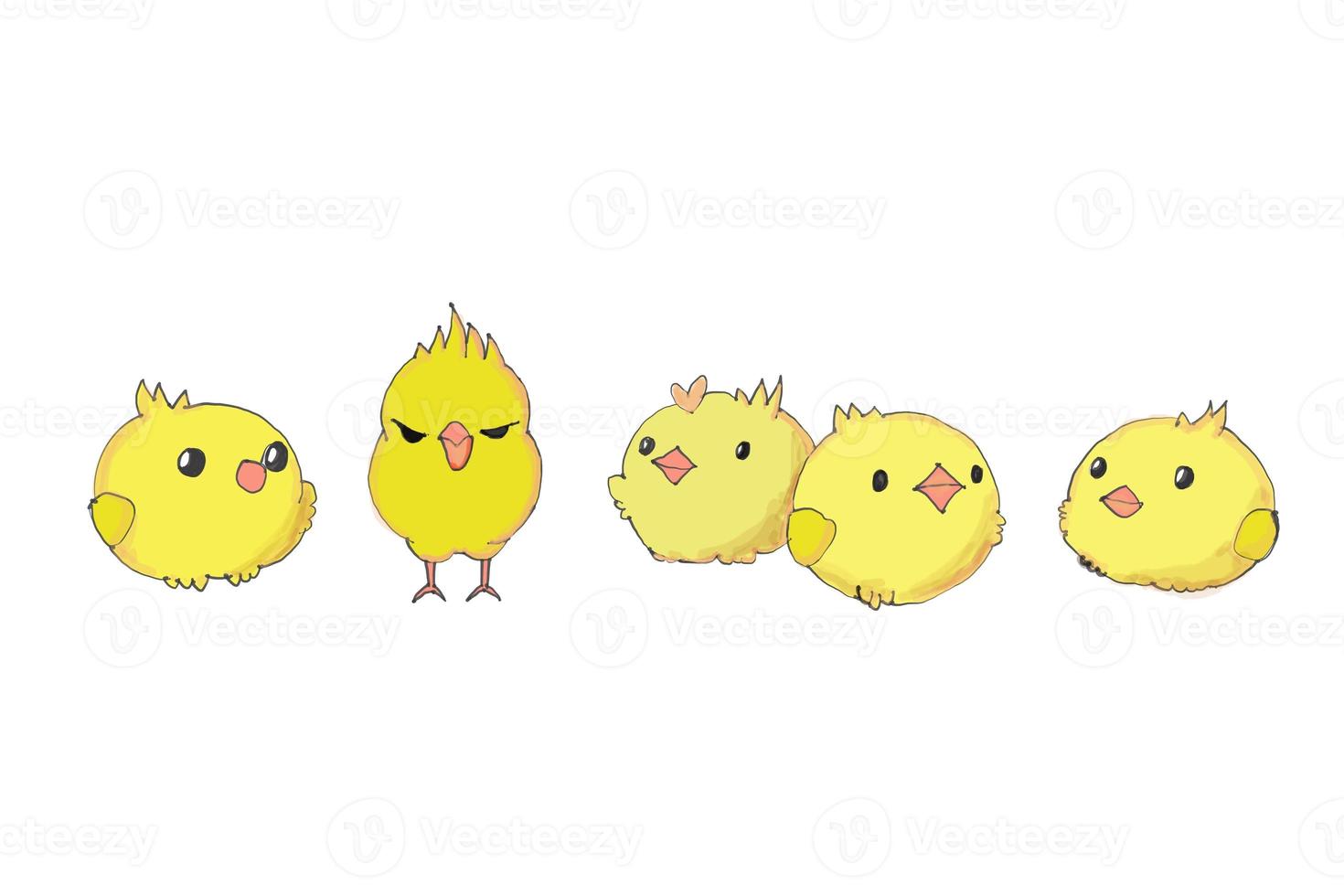 caricatura, pollo, amarillo, blanco, plano de fondo foto