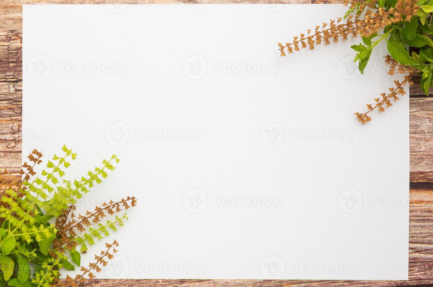 green basil flowers and blank paper sheet on a wooden background.spring border green blossom, top view, blank paper for text, flat lay. photo