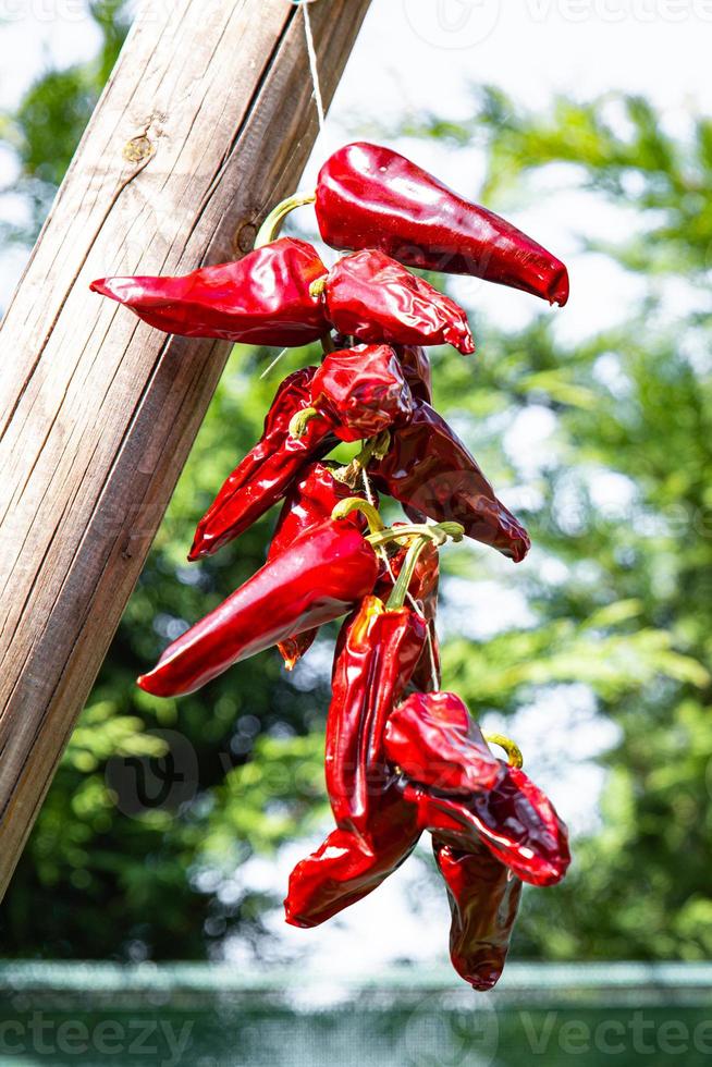 Espelette pepper dried vegetable spice meal food diet snack on the table copy space food background rustic top view photo