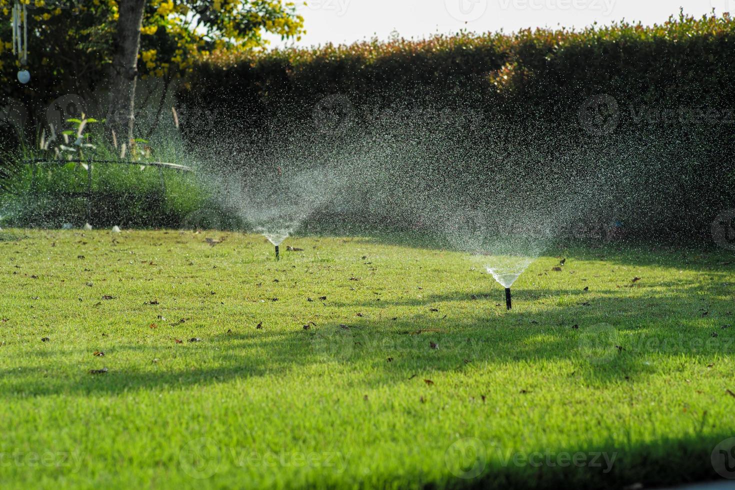 Selective focus on the sprinkle watering around the grass field with blurred background of outdoor garden photo