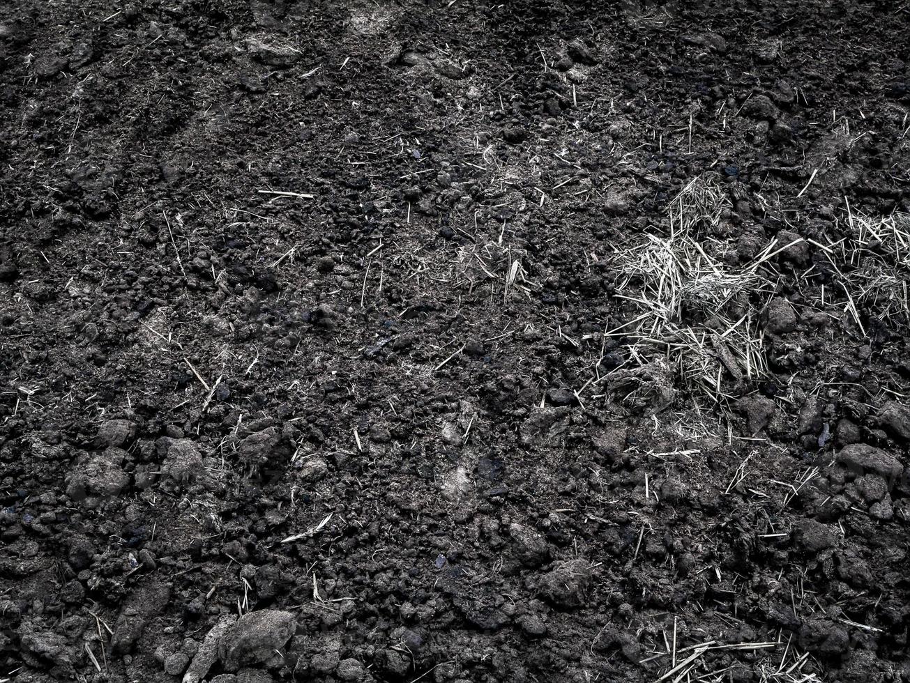 organic fertilizer texture. Black earth. Agricultural production photo