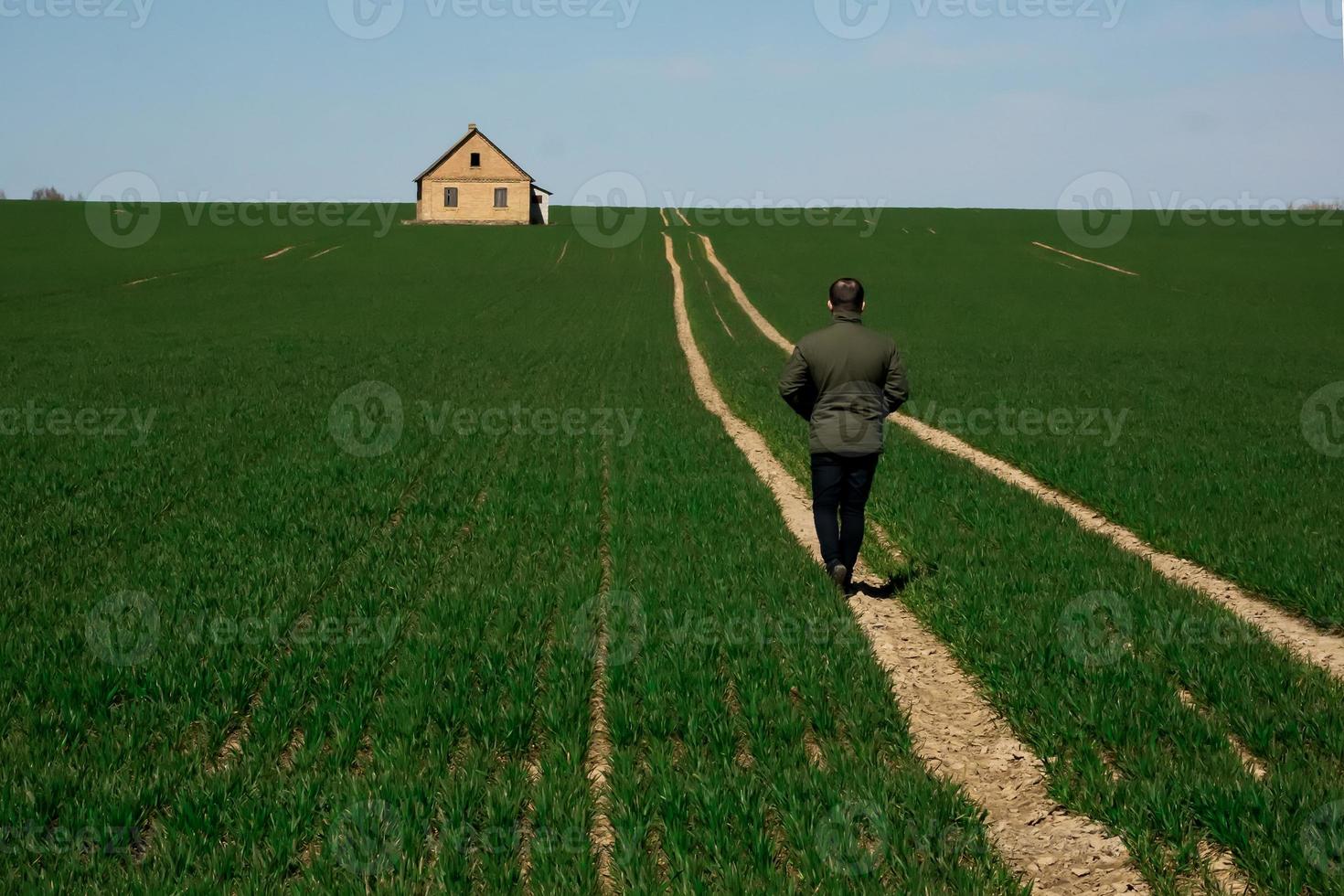 el hombre regresa a casa por el camino entre el campo verde foto