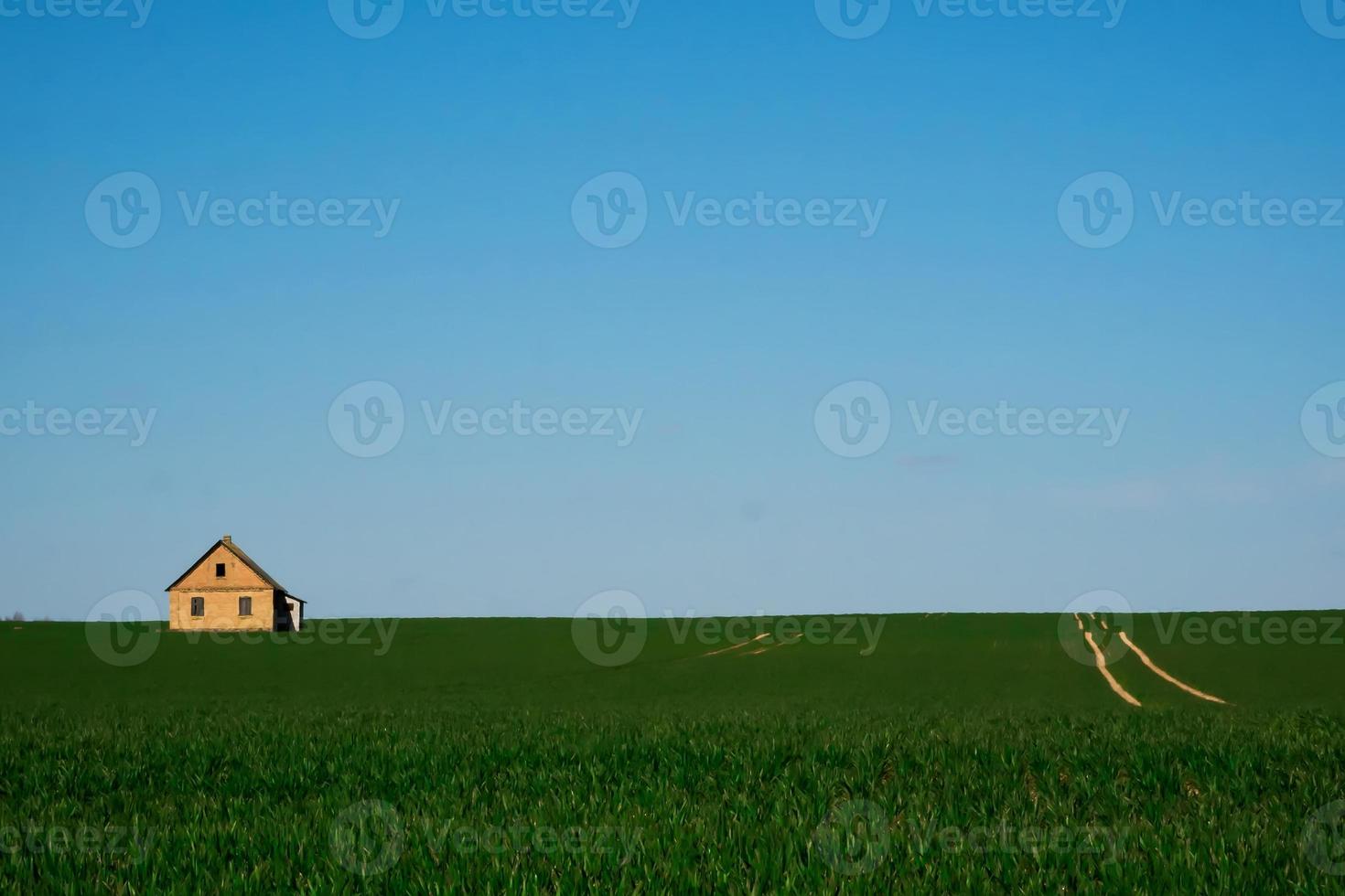 una casa solitaria en un campo verde foto