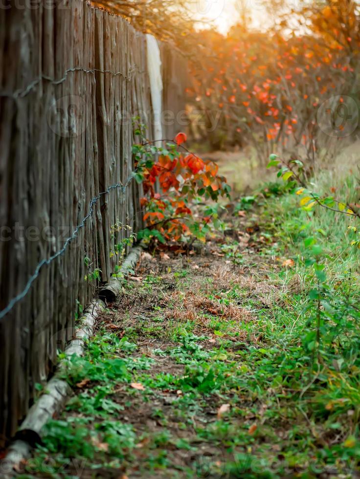 old fence background for photography vertical blurred photo