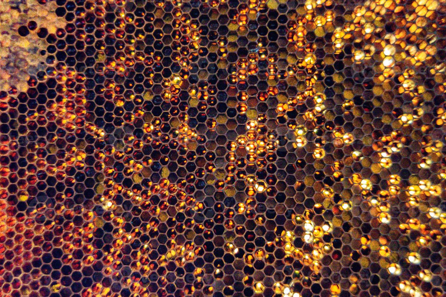 Honeycomb from bee hive filled with golden honey photo