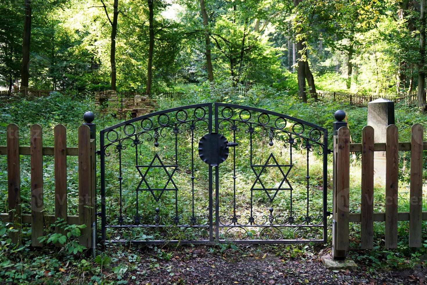 old jewish graveyard in forest photo