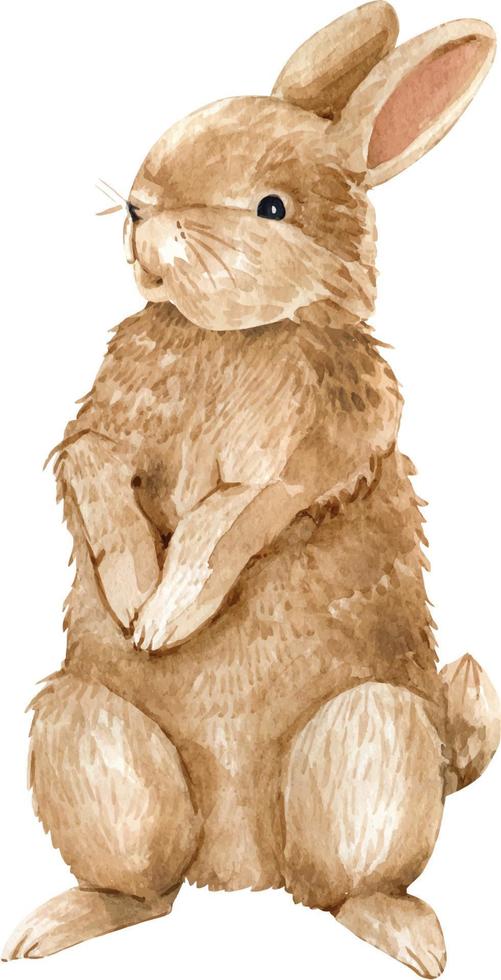 Brown rabbit in watercolor on a white background, hand painted. vector