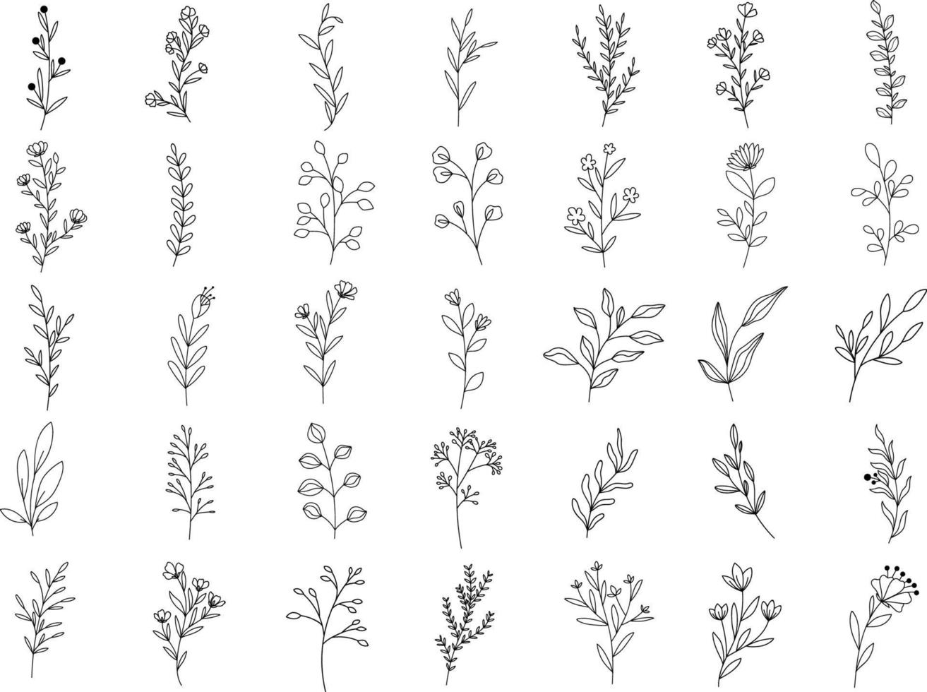 hand drawn outline leaf natural elements collection vector