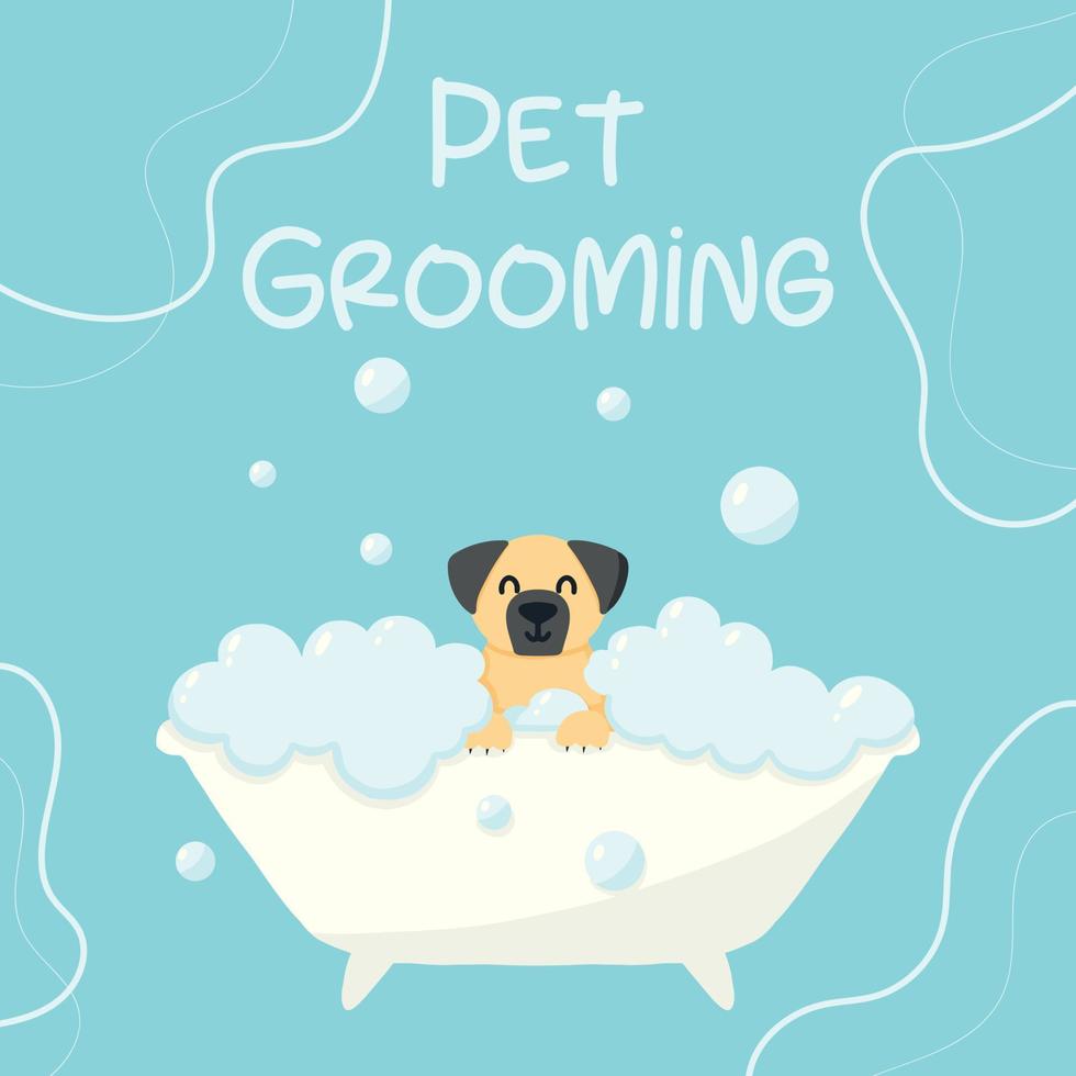 Grooming salon. Banner for grooming salon. Vector illustration in cartoon style. Cute pug in a bubble bath. Pet care.