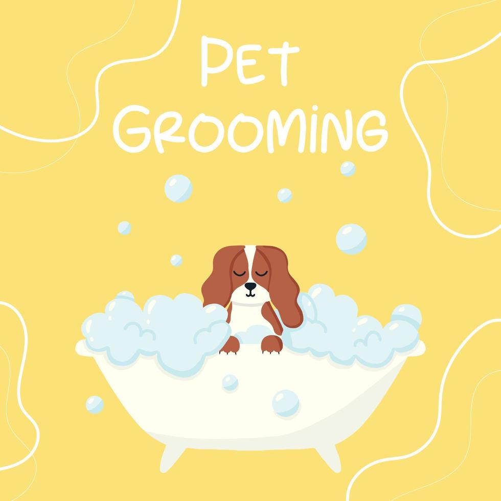 Grooming salon. Banner for grooming salon. Vector illustration in cartoon style. Cute spaniel in a bubble bath. Pet care.