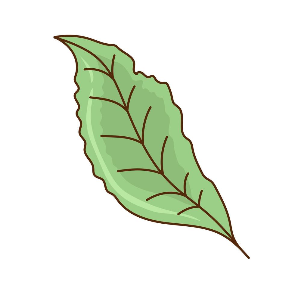 Drawing of green a leaf. Vector flat illustration.