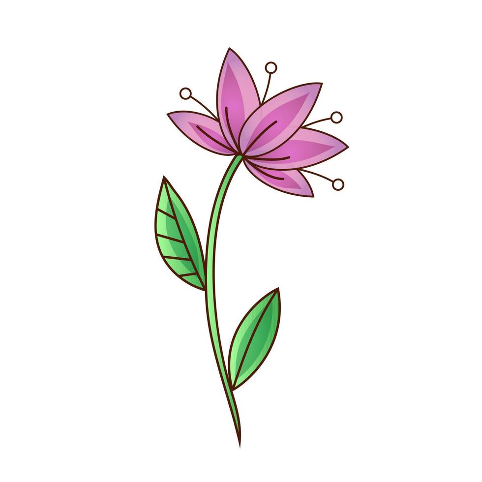 Vector drawing of a decorative lily flower with stamens and leaf. Vector flat illustration.  Icon, sticker.  Cartoon illustration.