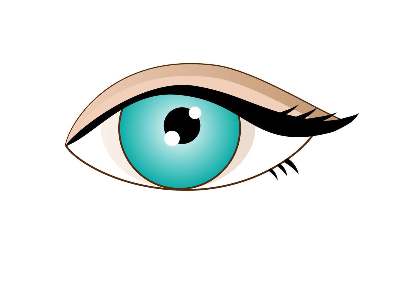 Drawing of an open eye. Vector flat illustration.  Icon, sticker.