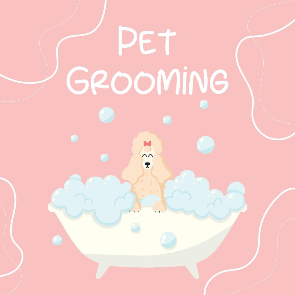 salón de belleza. banner para salón de belleza. ilustración vectorial en estilo de dibujos animados. lindo caniche en un baño de burbujas. cuidado de mascotas. vector