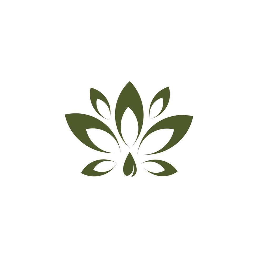 CBD oil leaf  CBD leaf Hemp icon logo template vector