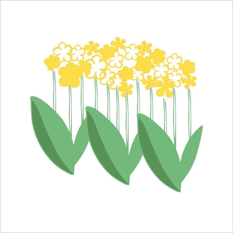 Garden flowers yellow color isolated on white background vector