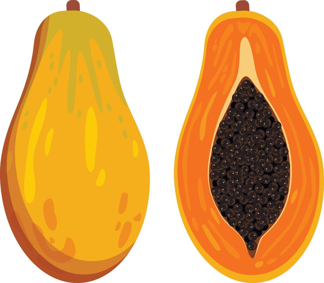Papaya, whole fruit and half. Vector illustration cartoon, icon isolated on white.