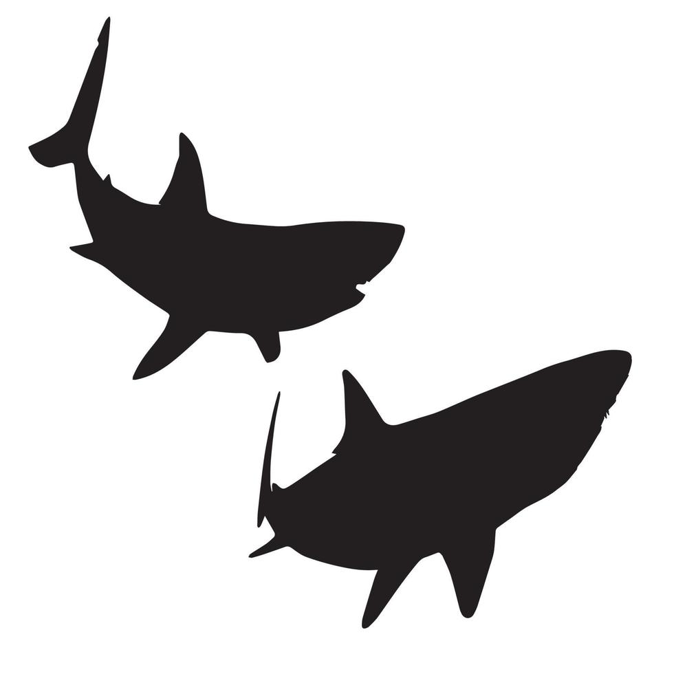 shark silhouette art vector