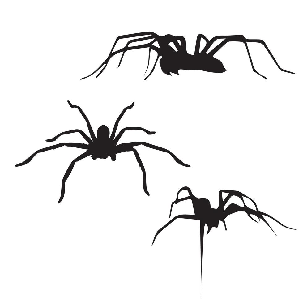 Spider Silhouette Art vector