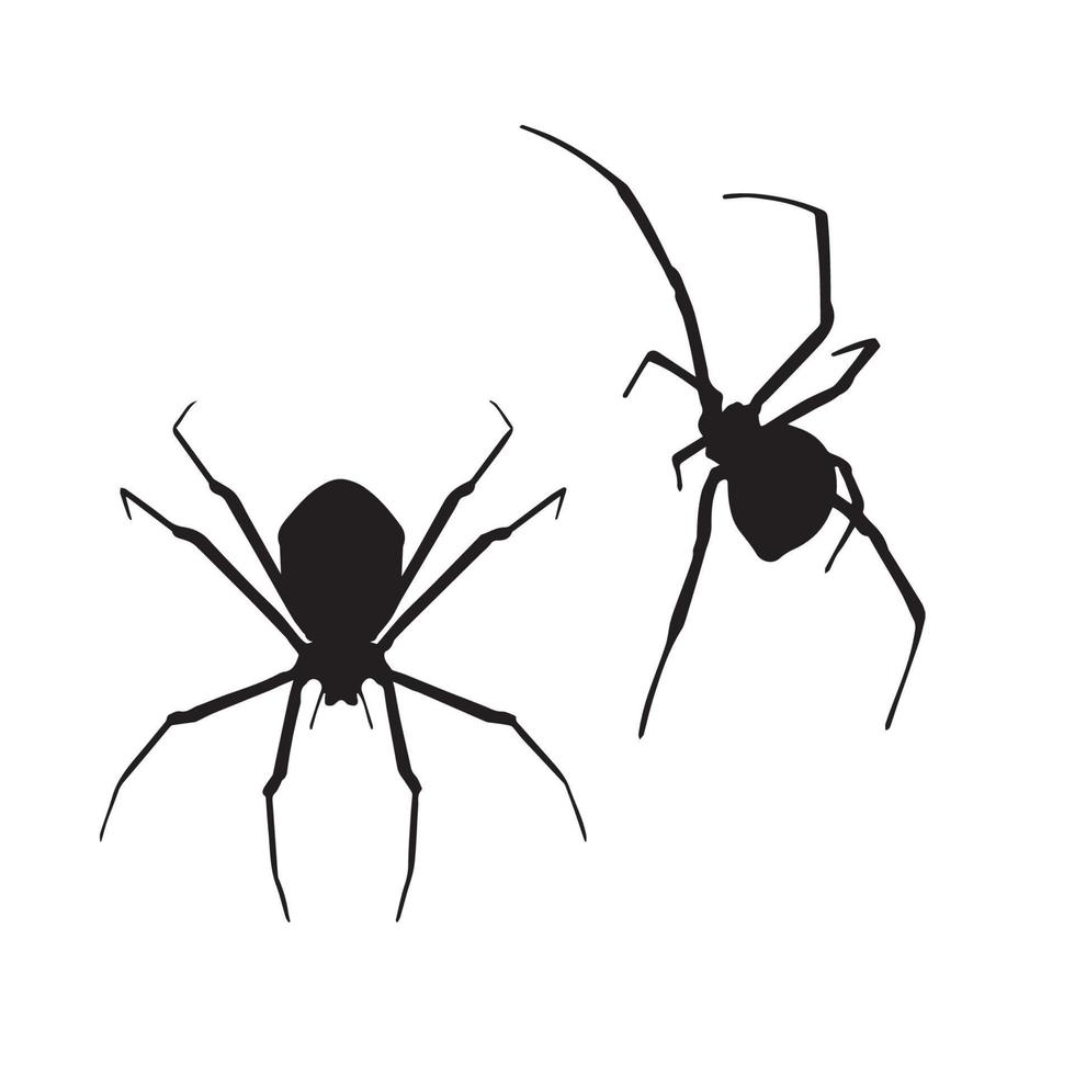 Spider Silhouette Art vector