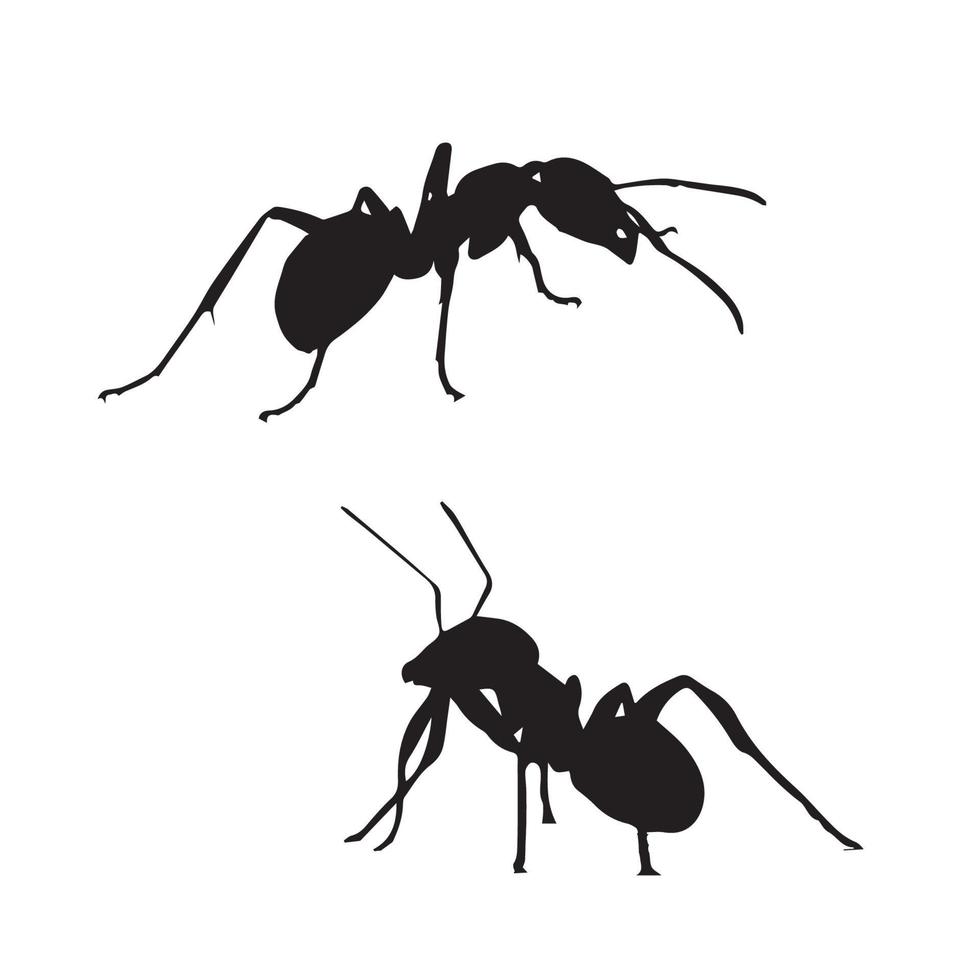 Ant silhouette art vector