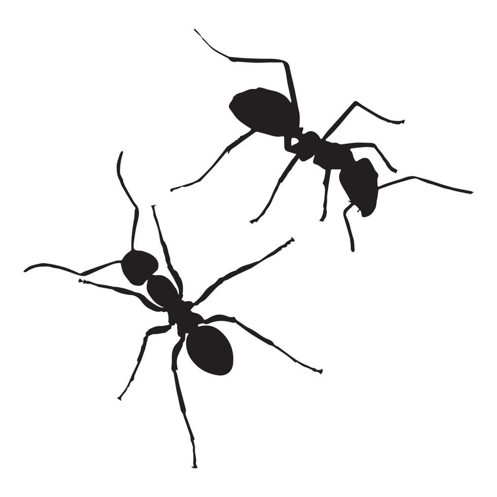 Ant silhouette art vector