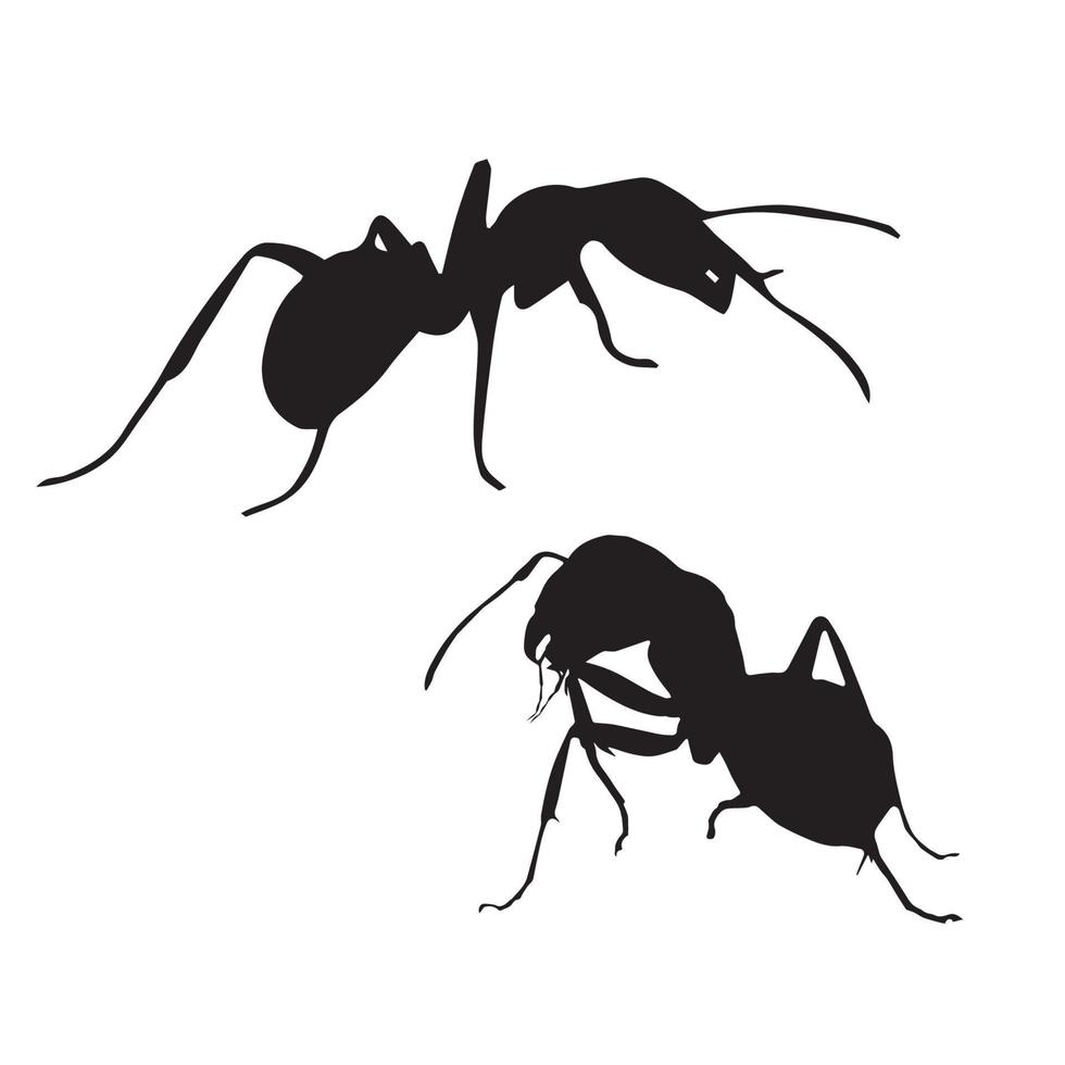 Ant silhouette art vector