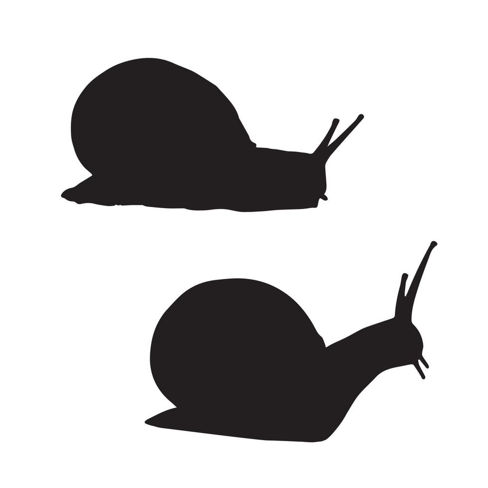 snail silhouette art vector