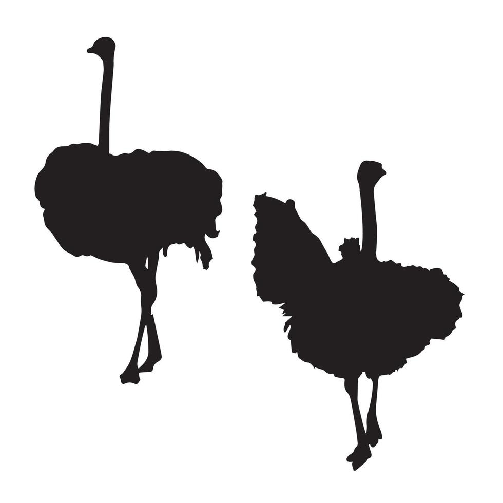 Ostrich Art Silhouette vector