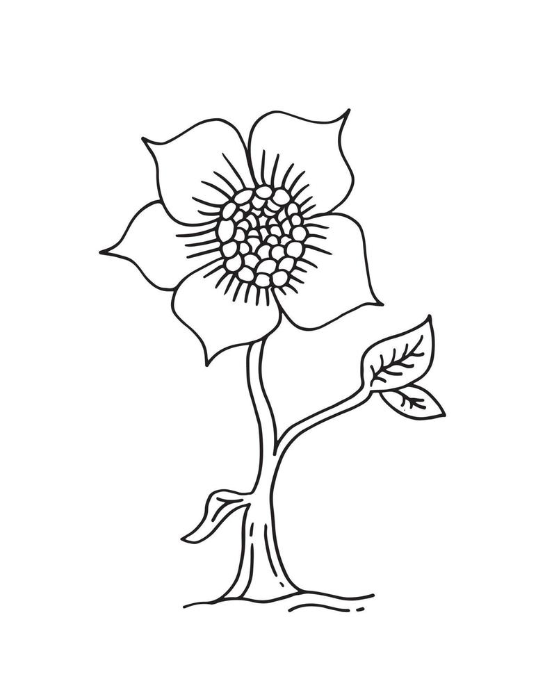 flowers doodle sketch isolated on white background.design element for summer spring,textile,education and more. vector