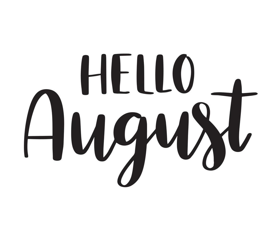 Hello August script brush lettering. Handwritten modern calligraphy. Vector typography illustration. Design for calendar, greeting card, invitation, poster.