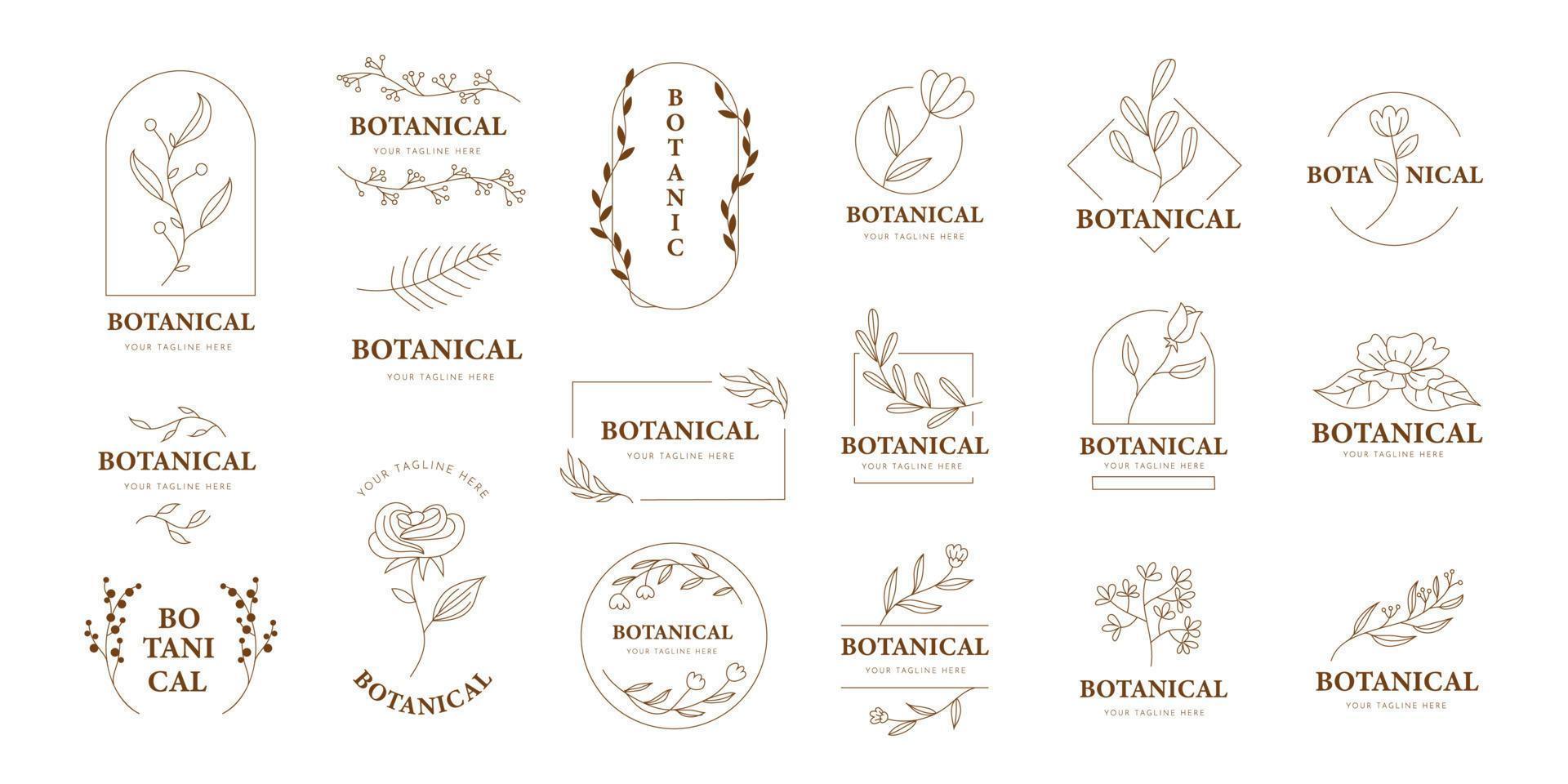 Doodle Herb and flower logo, set of hand-drawn botanical, floral set of wildflowers and herbs, vector objects isolated on a white background. One Line Drawing Vector Flowers Set.